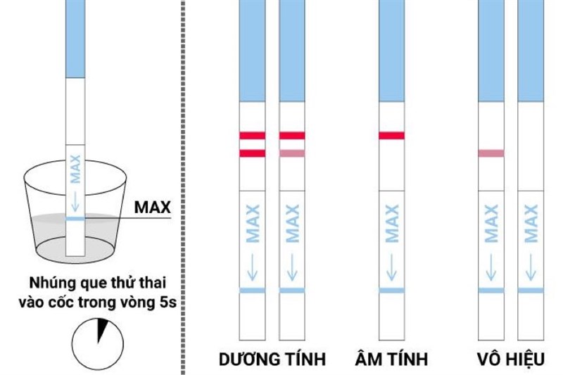 Que thử thai kết quả vạch dễ sử dụng nhất 