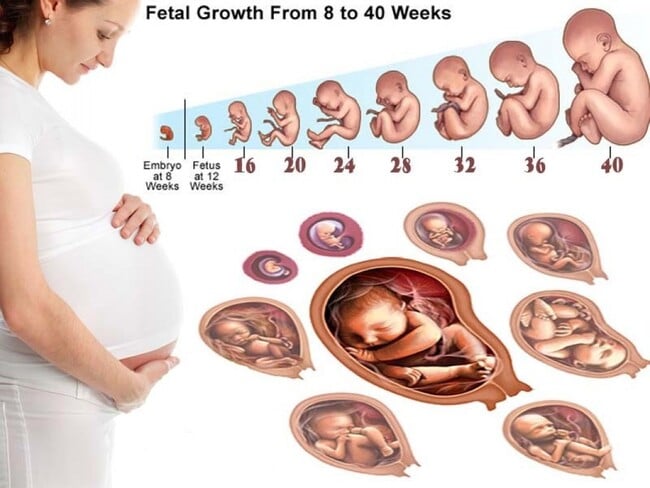 cách tính tuổi thai nhi