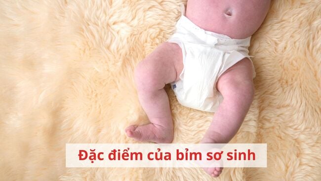 Đặc điểm của bỉm Newborn