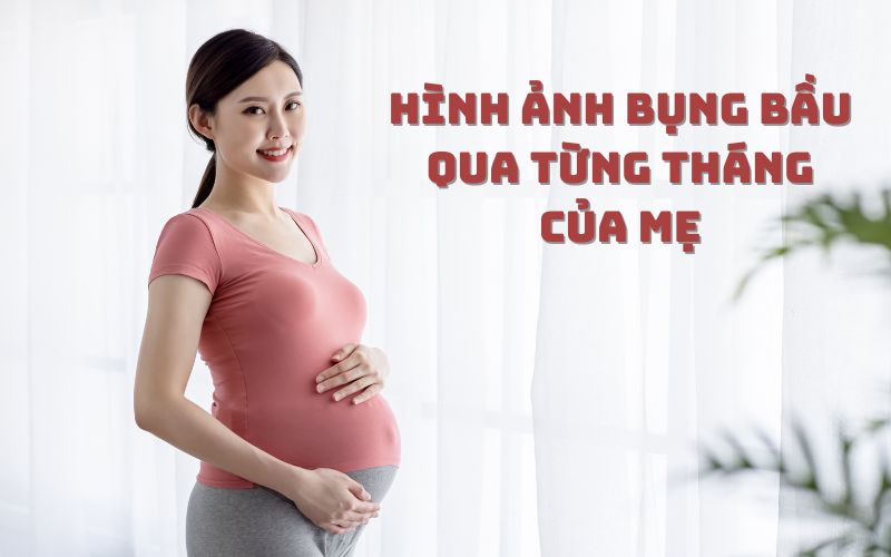 Hình ảnh bụng bầu qua từng tháng