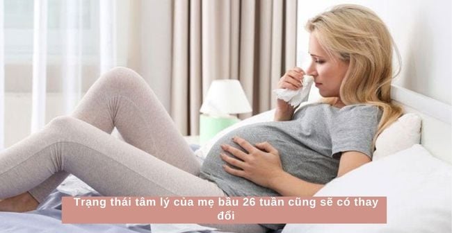 Mẹ cần tuân thủ chế độ ăn cho bà bầu 26 tuần để đảm bảo sức khỏe cho mẹ và bé