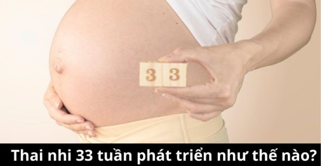 Não của em bé sẽ phát triển rất mạnh vào giai đoạn thai nhi tuần thứ 33